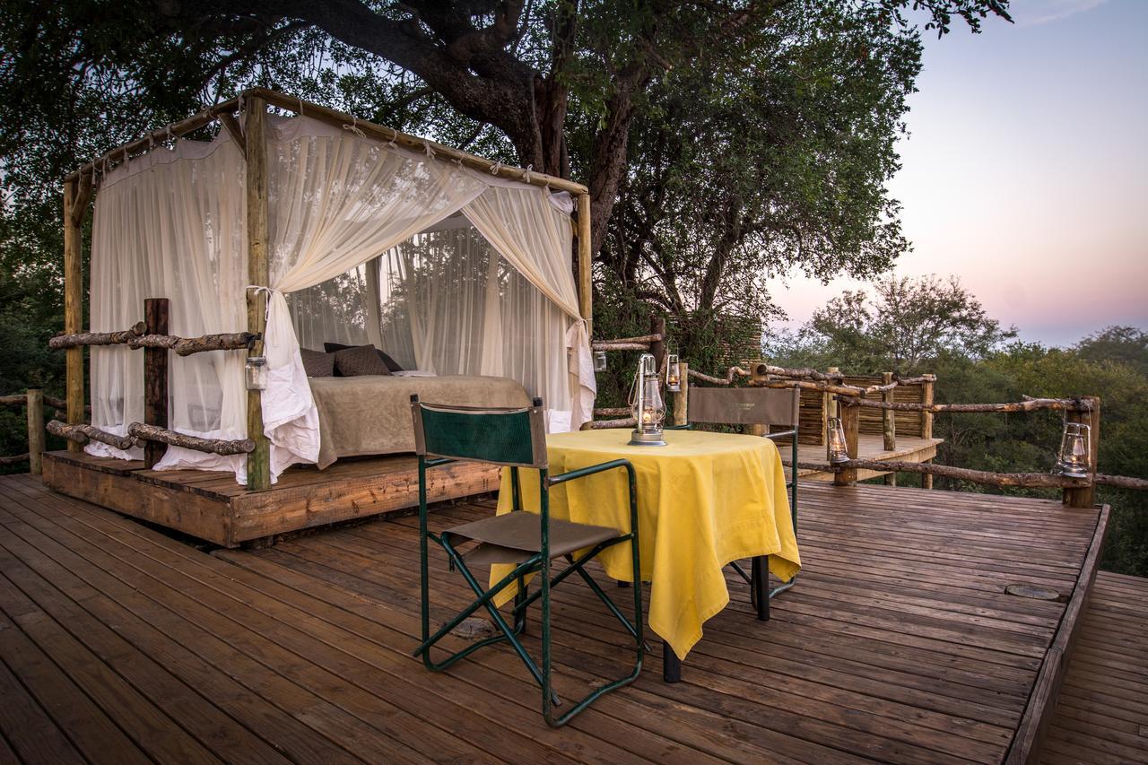 Garonga Safari Villa Makalali Game Reserve Bagian luar foto